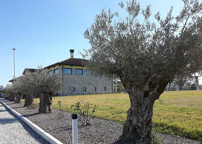 San Gallo Farmház *